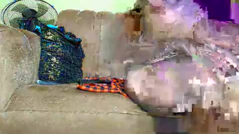 prettytashil200 online show from May 2026 10:56:02 AM