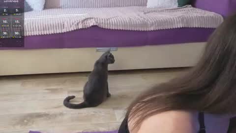 Kitty online show from June 2026 02:10:02 AM