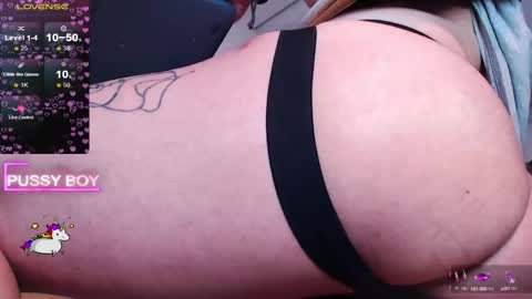 Prince online show from February 2025 05:33:01 PM