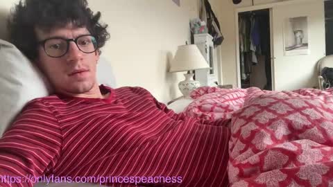 Snapshot of princespeaches chatting on November 2025 05:01:02 PM Peaches online show from November 2025 05:01:02 PM