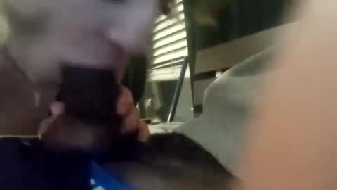 Snapshot of princessbrii537133 chatting on October 2025 03:40:01 AM princessbrii537133 online show from October 2025 03:40:01 AM