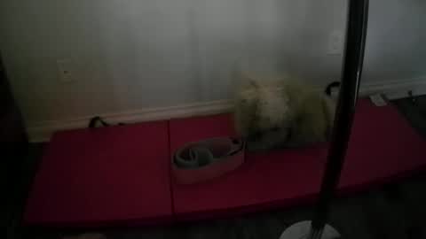 princesskimami online show from October 2025 12:40:02 AM