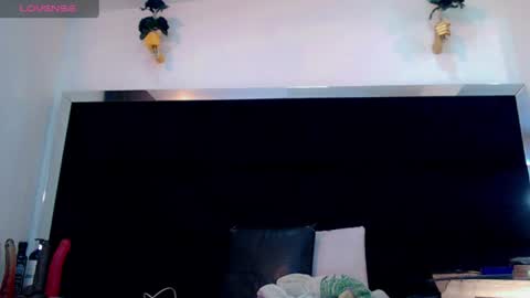 priscilarainbow online show from July 2026 01:57:01 PM