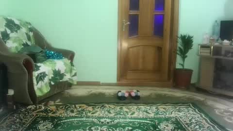 Snapshot of proud_sweet_21 chatting on December 2024 04:57:01 PM proud sweet 21 online show from December 2024 04:57:01 PM