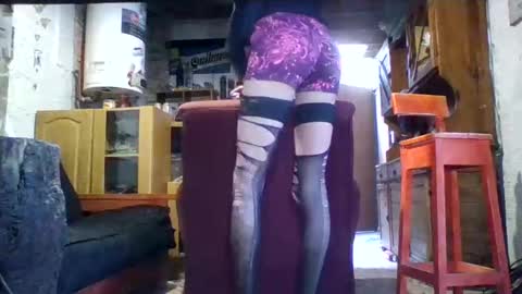 Snapshot of psasa5560 chatting on February 2025 06:47:02 PM Ar Lily online show from February 2025 06:47:02 PM