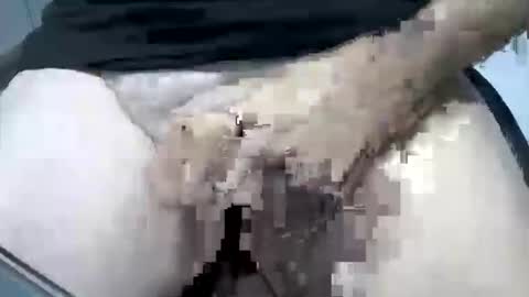 Snapshot of psfunman chatting on February 2025 05:48:01 PM psfunman online show from February 2025 05:48:01 PM