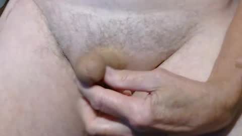 Snapshot of psfunman chatting on November 2025 08:52:01 PM psfunman online show from November 2025 08:52:01 PM