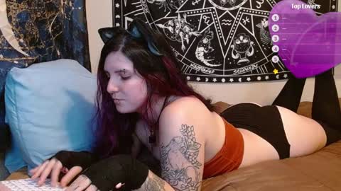 Snapshot of psychoactivekitten chatting on February 2025 08:17:02 PM Jay online show from February 2025 08:17:02 PM