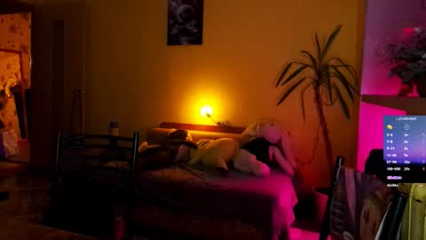 LUCY -----    online show from February 2026 11:50:01 AM