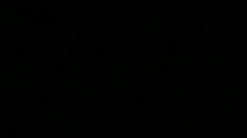 Snapshot of pt5177 chatting on December 2024 04:38:02 AM runnerbod55 online show from December 2024 04:38:02 AM