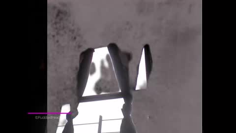 Snapshot of puddled_wonderland chatting on January 2025 01:52:02 PM puddled_wonderland online show from January 2025 01:52:02 PM