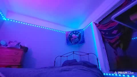 Snapshot of puddled_wonderland chatting on January 2025 05:40:02 AM puddled_wonderland online show from January 2025 05:40:02 AM