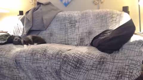 puff0169 online show from February 2026 07:25:01 AM