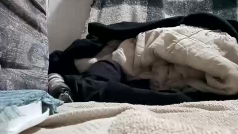 Snapshot of puffingoodtime8345 chatting on September 2025 05:07:01 AM puffingoodtime8345 online show from September 2025 05:07:01 AM