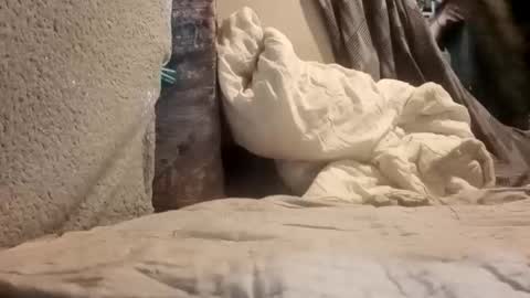 Snapshot of puffingoodtime8345 chatting on September 2025 04:57:02 AM puffingoodtime8345 online show from September 2025 04:57:02 AM