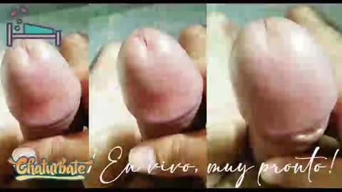 puky_mza online show from December 2024 12:41:01 AM