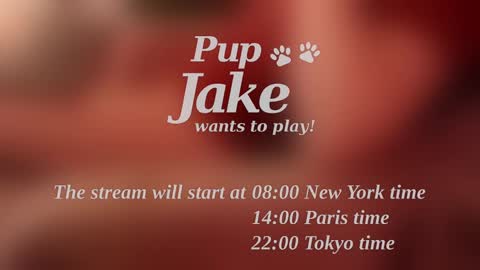Pup Jake wants to play online show from December 2024 12:05:01 PM