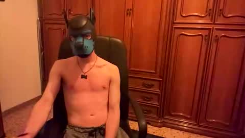 Snapshot of pup_toby chatting on November 2025 10:32:01 PM Toby online show from November 2025 10:32:01 PM