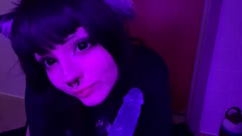 Snapshot of pupcoraa chatting on December 2025 12:26:01 AM pupcoraa online show from December 2025 12:26:01 AM