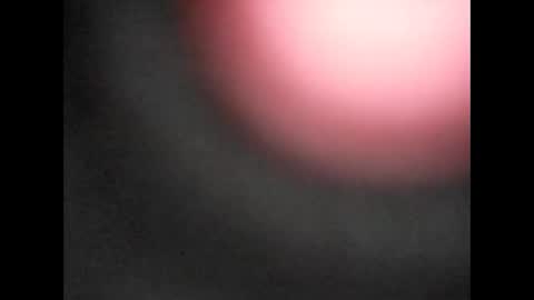 Bart online show from January 2026 12:32:01 PM