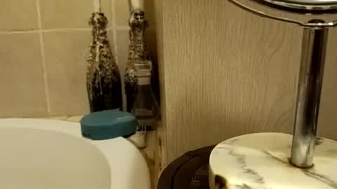 Snapshot of purecharismacpl chatting on February 2026 10:21:01 PM purecharismacpl online show from February 2026 10:21:01 PM