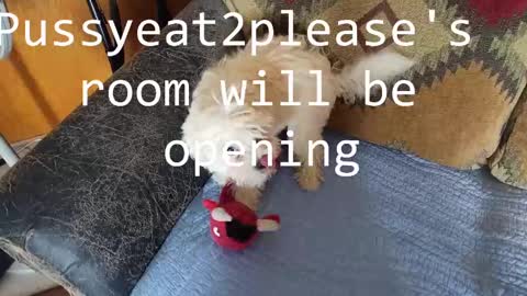 Snapshot of pussyeat2please chatting on February 2025 08:33:02 PM Rick online show from February 2025 08:33:02 PM