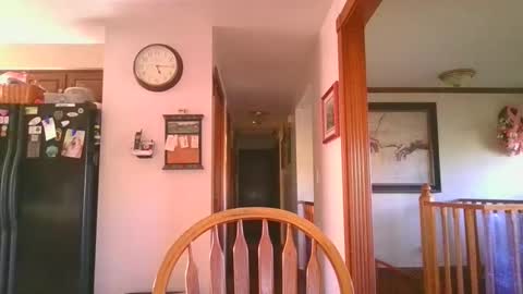 pussylover1365 online show from October 2025 09:16:01 PM