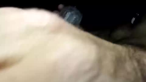 Pussyluver420 online show from November 2025 06:57:01 AM