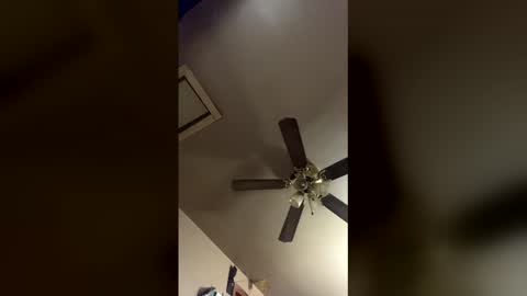 pyrex8 online show from December 2025 11:59:01 AM