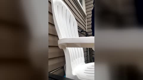 pyrex8 online show from January 2026 03:17:02 PM