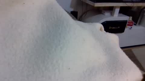 Snapshot of queen014 chatting on December 2025 10:27:02 PM queen014 online show from December 2025 10:27:02 PM