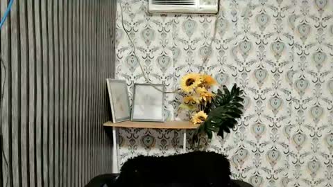 Snapshot of queen_elicktra chatting on February 2025 06:02:02 PM JOY online show from February 2025 06:02:02 PM