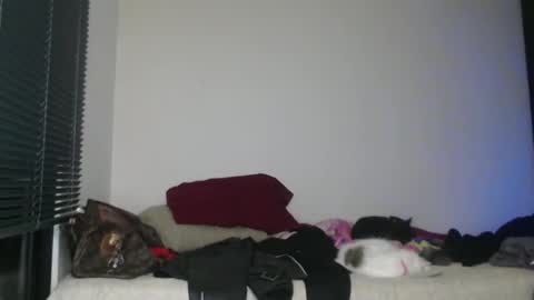 Snapshot of queennicky88 chatting on January 2025 03:15:02 AM Nico online show from January 2025 03:15:02 AM