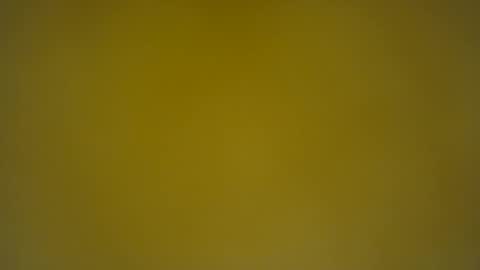 Snapshot of quinnxx chatting on March 2025 06:43:01 AM quinnxx online show from March 2025 06:43:01 AM