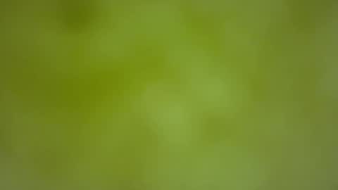 quinnxx online show from February 2026 06:35:02 AM