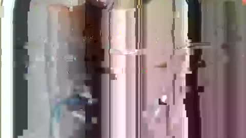 Snapshot of r04233054 chatting on November 2025 08:50:02 AM r04233054 online show from November 2025 08:50:02 AM