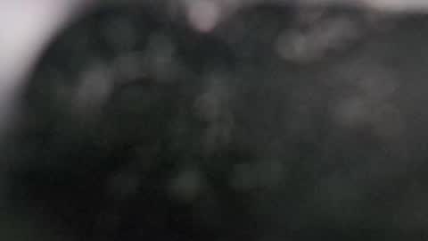 Dmitry online show from March 2025 07:58:02 PM