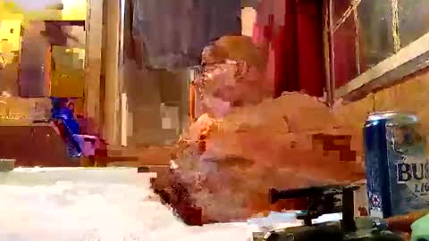 Snapshot of rabidsquirrell chatting on February 2025 12:53:02 AM rabidsquirrell online show from February 2025 12:53:02 AM