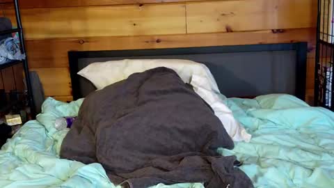 Rachel Price online show from March 2025 02:00:01 PM