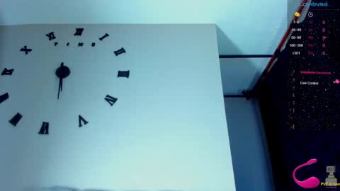 Snapshot of ragnarhot24 chatting on December 2024 07:25:02 AM Andres H online show from December 2024 07:25:02 AM