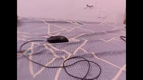 RAMAN online show from December 2025 04:56:01 PM