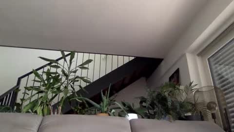ramler0815 online show from May 2026 08:20:01 AM