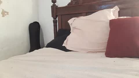 Snapshot of ranthanplan46 chatting on February 2025 12:17:02 PM Ran online show from February 2025 12:17:02 PM