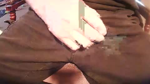 rarvet online show from April 2026 12:52:02 AM