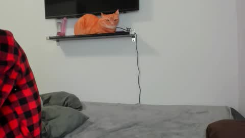 Raveneusbiter online show from February 2026 11:25:01 AM