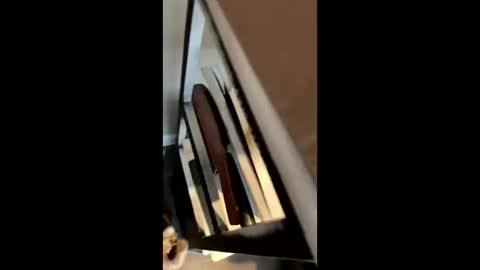 ravenxbeastie online show from February 2025 08:58:01 PM