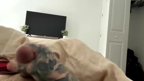 raws33x online show from February 2026 03:50:01 PM