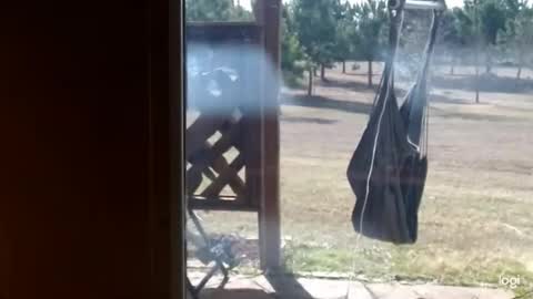 ready4aride2day online show from February 2026 03:52:02 PM