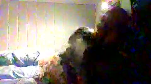 real_viking1 online show from November 2025 08:13:01 AM