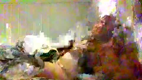 real_viking1 online show from February 2026 05:49:02 PM